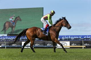 Julius (NZ) (Swice Ace) claims the first leg of the NZB Insurance Sprint Triple Crown.
